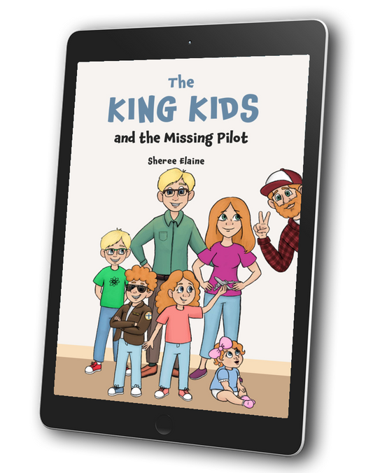 The King Kids and the Missing Pilot E-Book