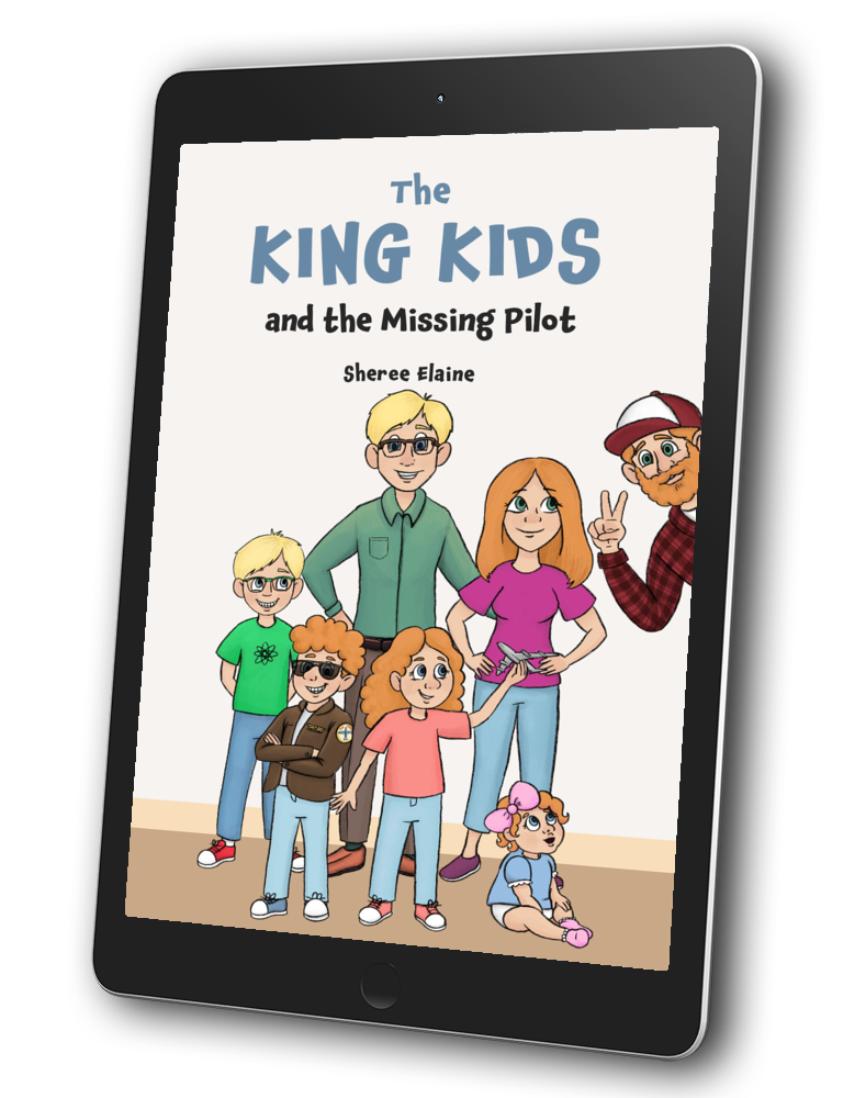 The King Kids and the Missing Pilot E-Book